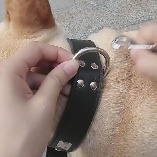 Automatic Telescopic Dog Luminous Traction Rope